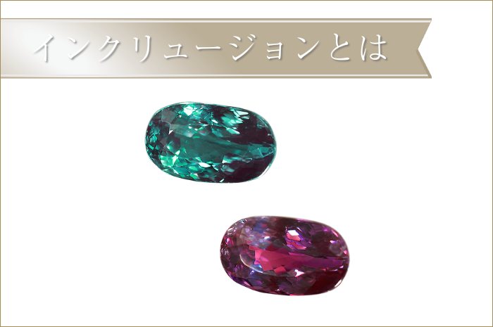 インクリュージョンとは