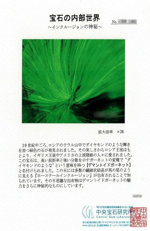 ホーステール02