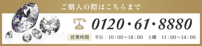 ご購入の連絡先：0120・61・8880