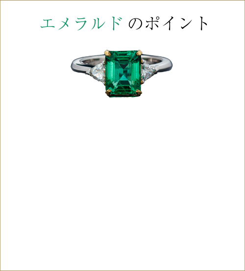 エメラルドポイントプラス