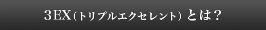 ３EX（トリプルエクセレント）とは？