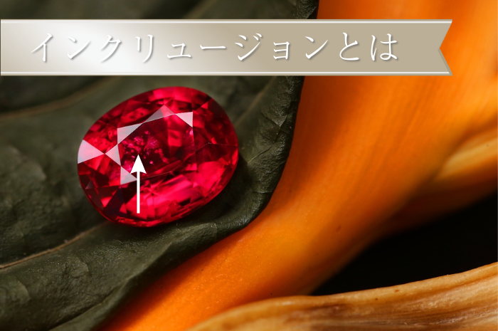 インクリュージョンとは