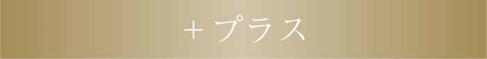 ＋プラス