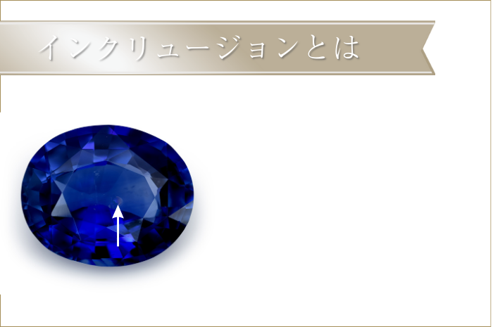 インクリュージョンとは