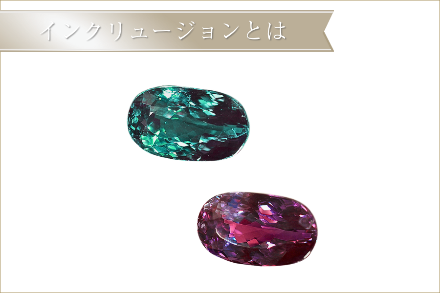 インクリュージョンとは