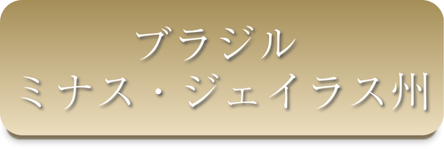 ブラジル ミナス・ジェイラス州