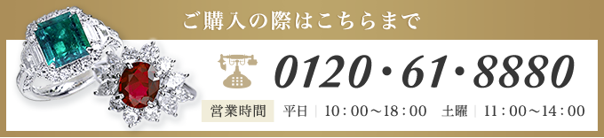 0120・61・8880