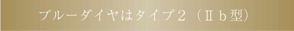 ブルータイヤはタイプ2