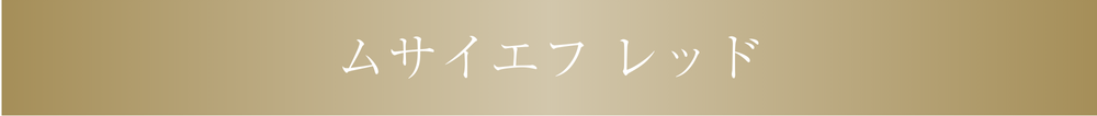 ムサイエフレッド